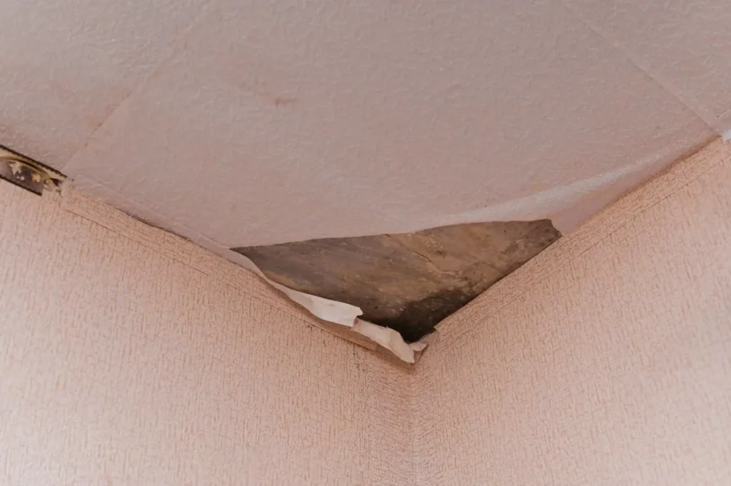 Ceiling-Mold-Cleaning-Dubai